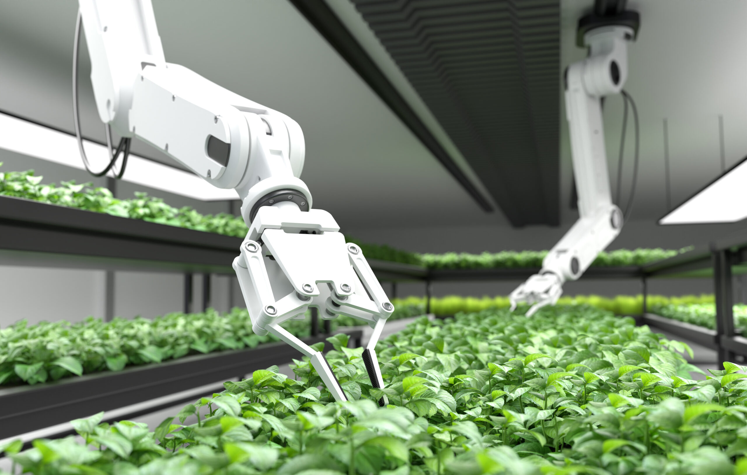 Vertical Farm Automation