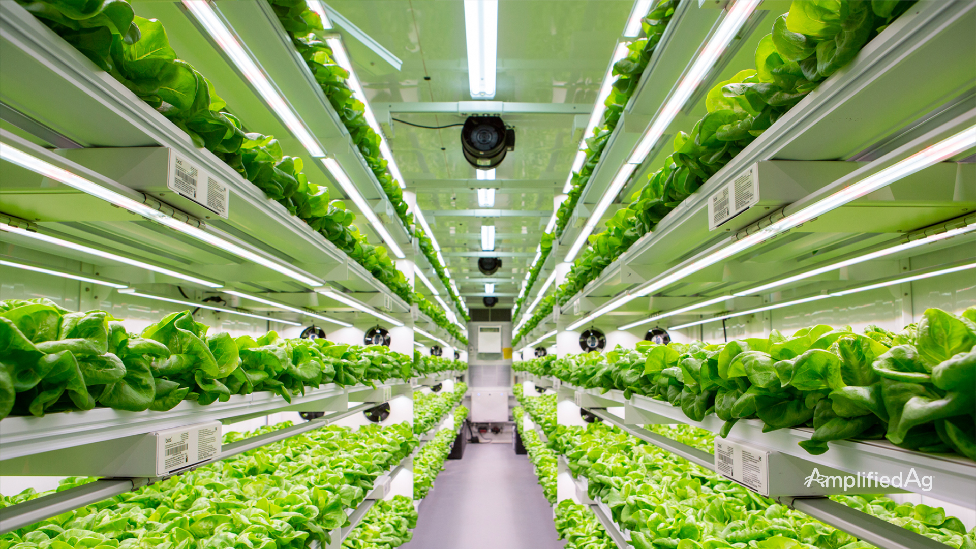 Indoor Farm Equipment Cultivatd