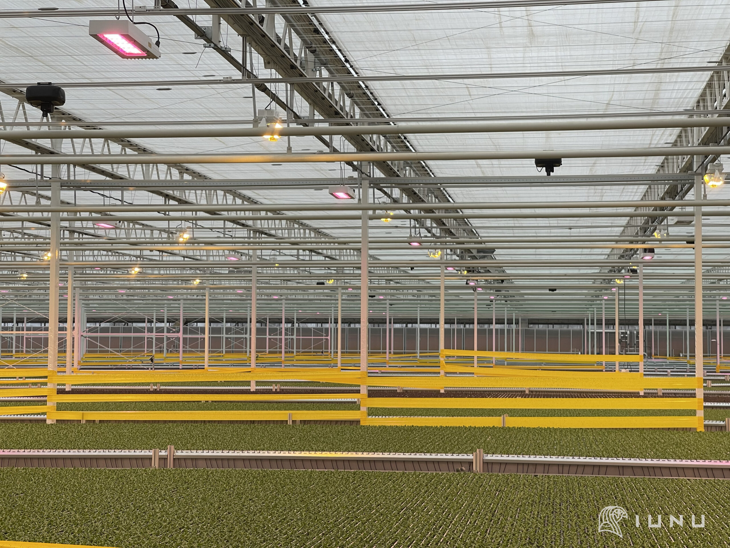 Greenhouse Technology _Iunu