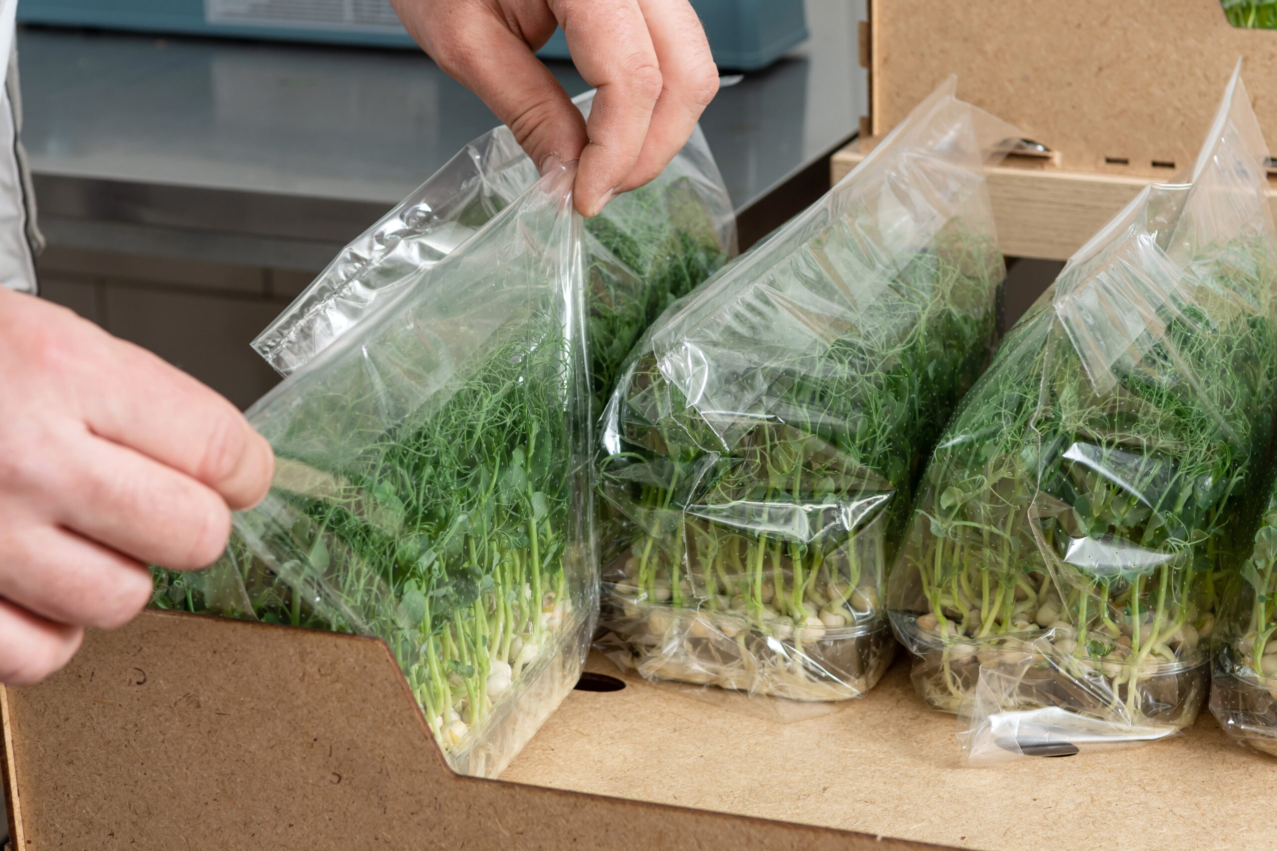 Packaging Microgreen Wholesale